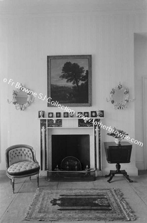 DUNSANY CASTLE FIREPLACE IN BEDROOM